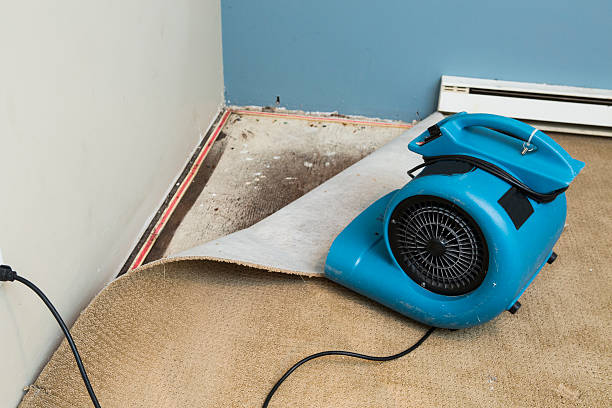 Best Carpet water damage restoration  in Atherton, CA